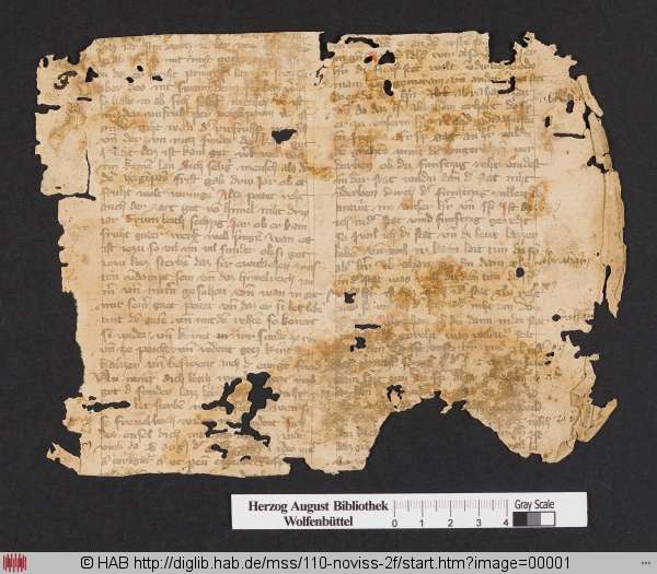 http://diglib.hab.de/mss/110-noviss-2f/min/00001.jpg