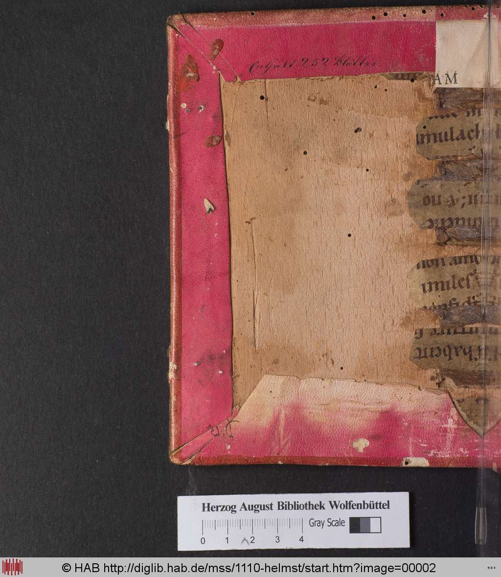 http://diglib.hab.de/mss/1110-helmst/00002.jpg