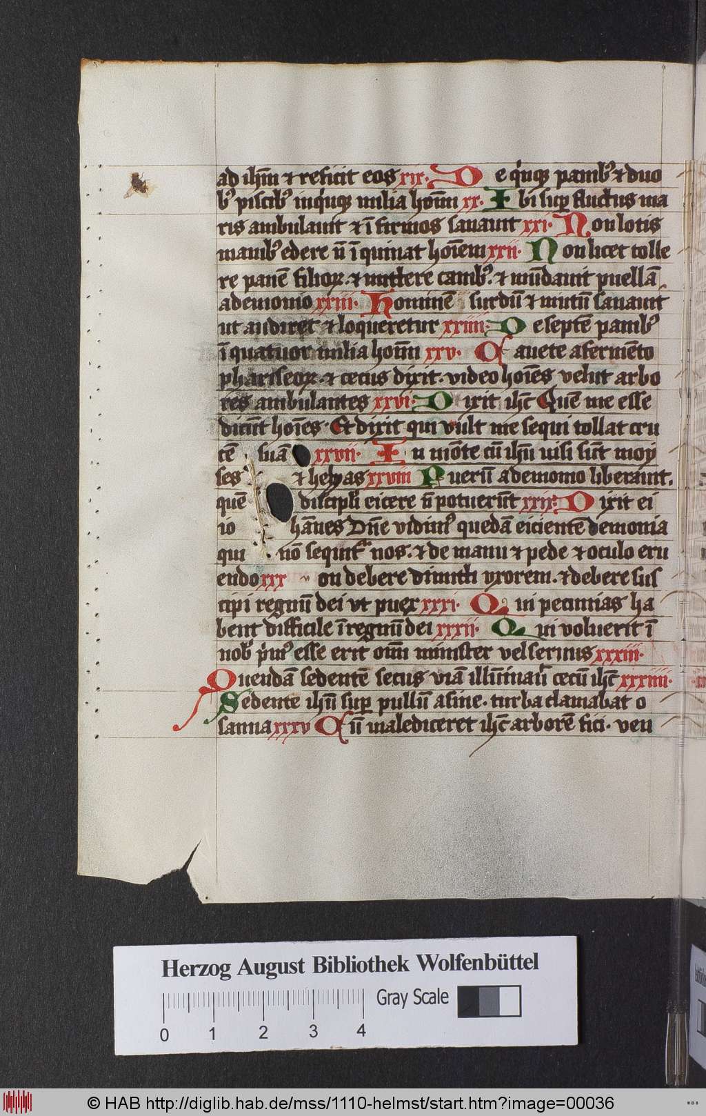 http://diglib.hab.de/mss/1110-helmst/00036.jpg