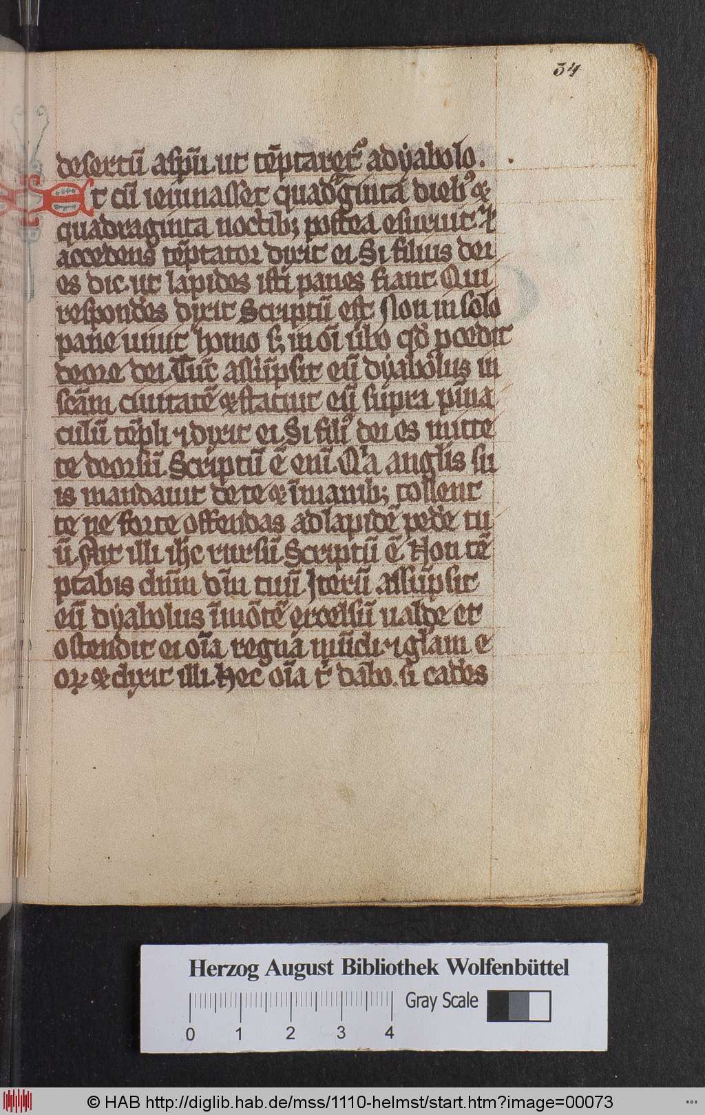 http://diglib.hab.de/mss/1110-helmst/00073.jpg