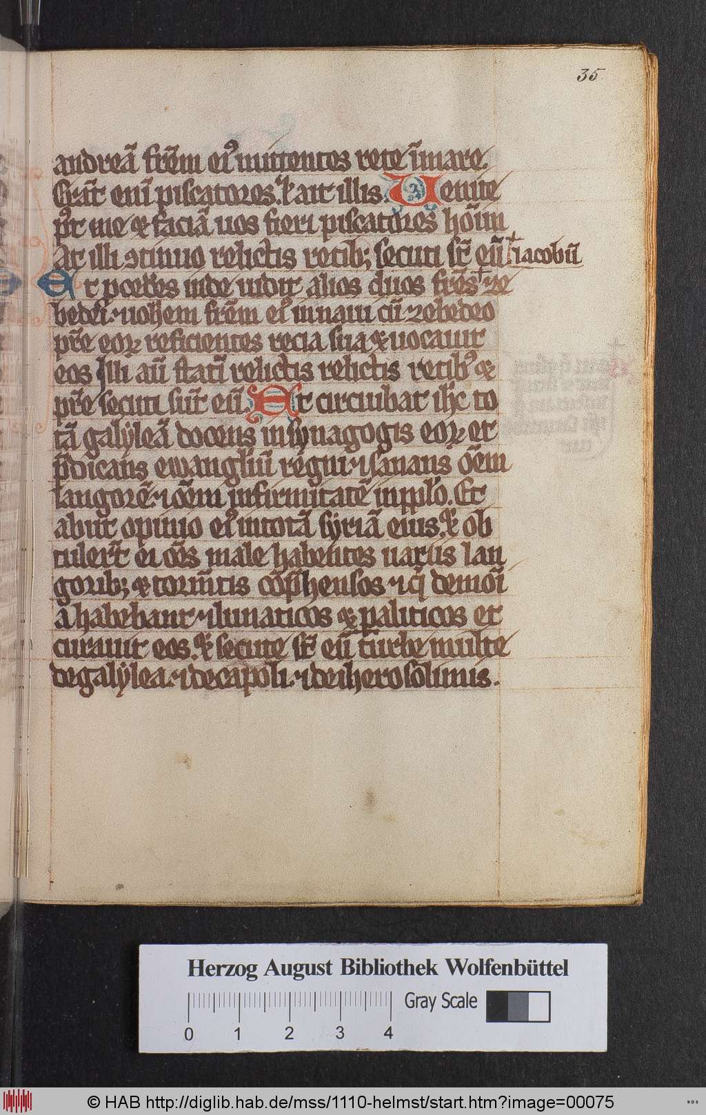 http://diglib.hab.de/mss/1110-helmst/00075.jpg