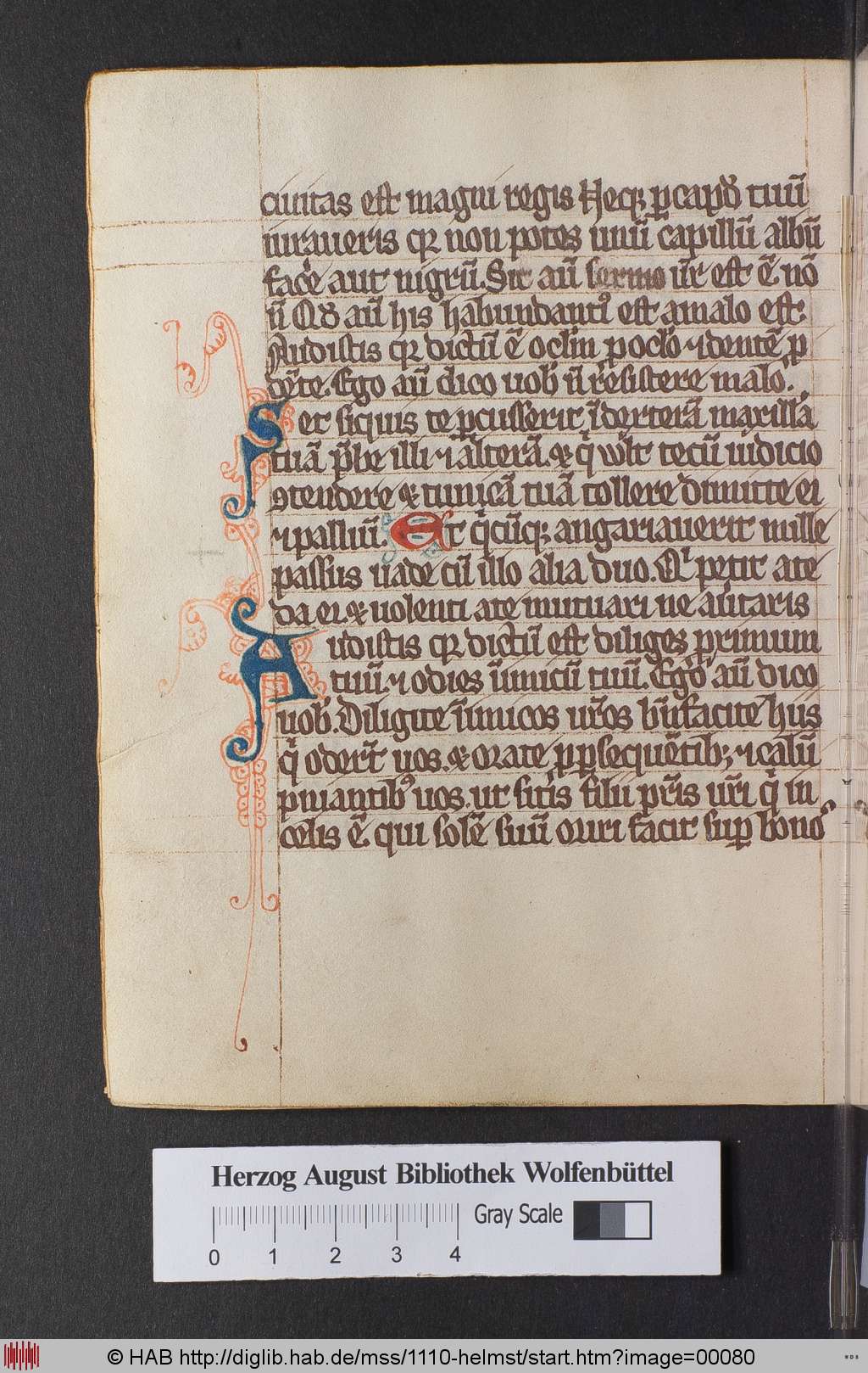http://diglib.hab.de/mss/1110-helmst/00080.jpg