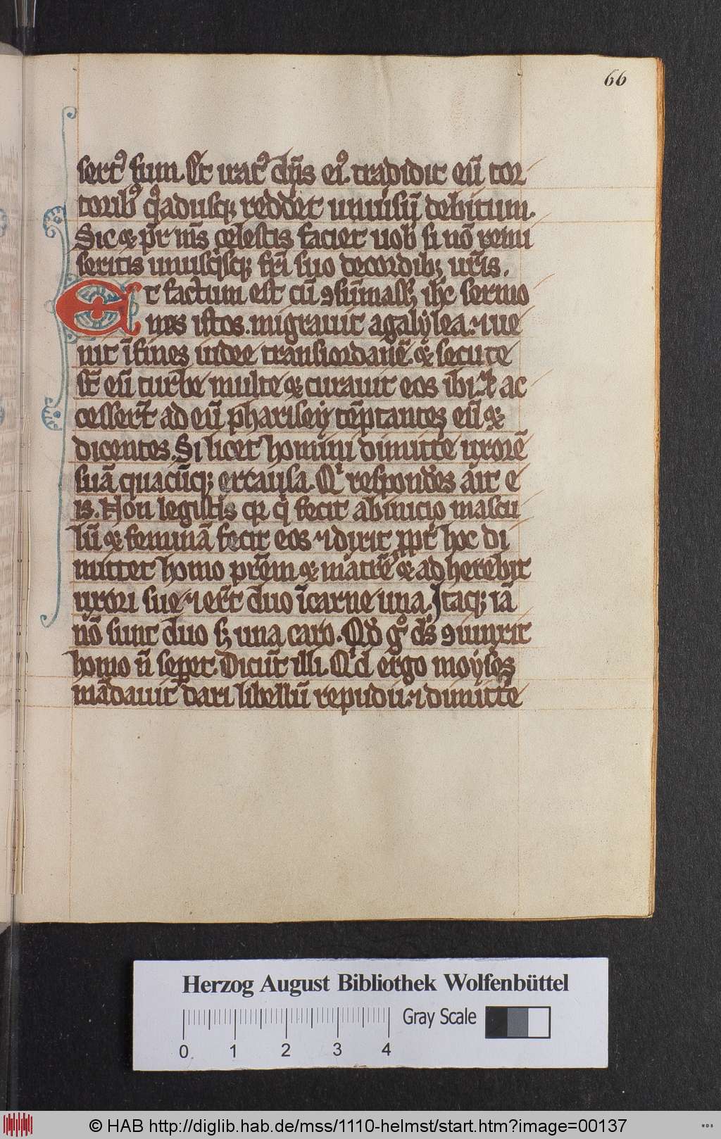 http://diglib.hab.de/mss/1110-helmst/00137.jpg
