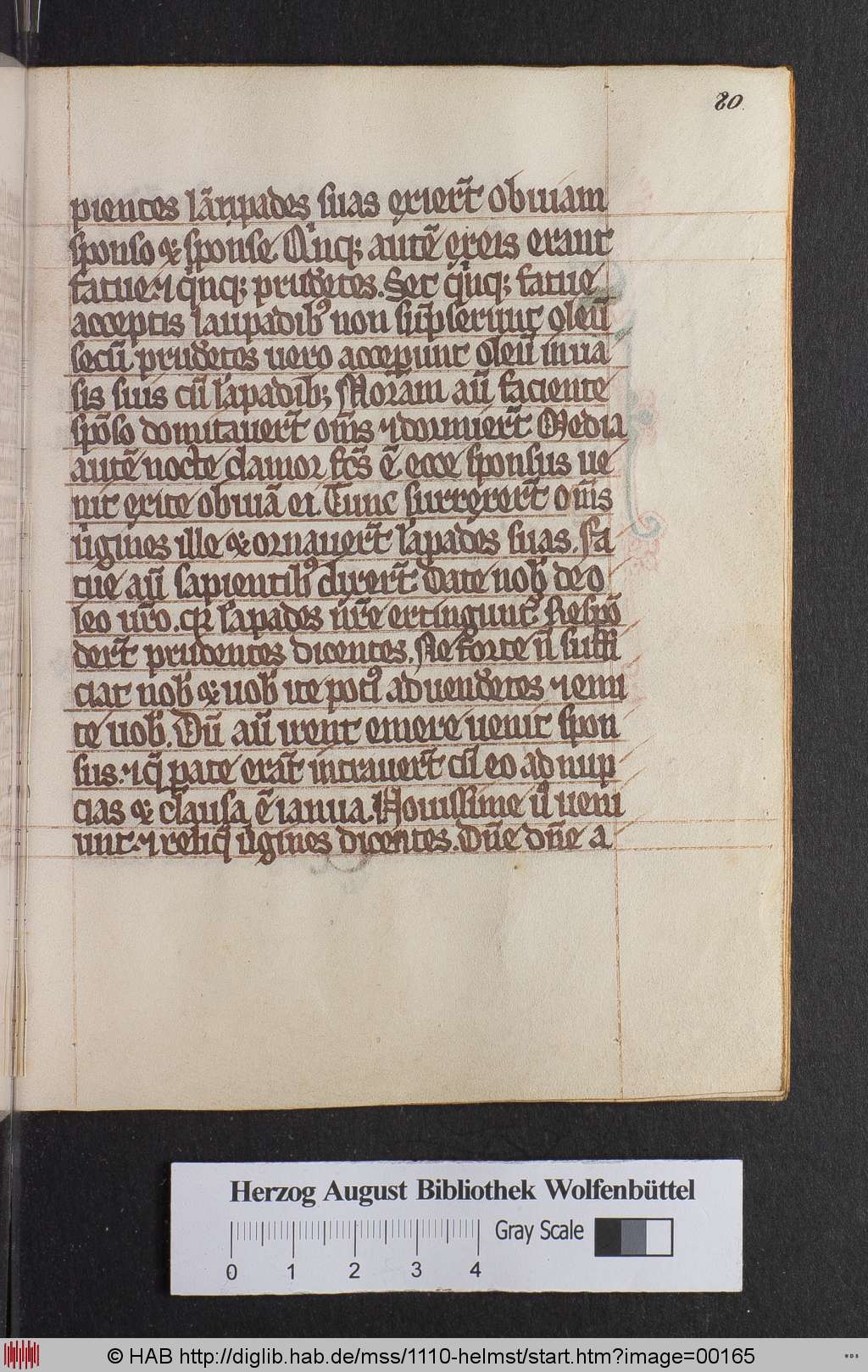 http://diglib.hab.de/mss/1110-helmst/00165.jpg