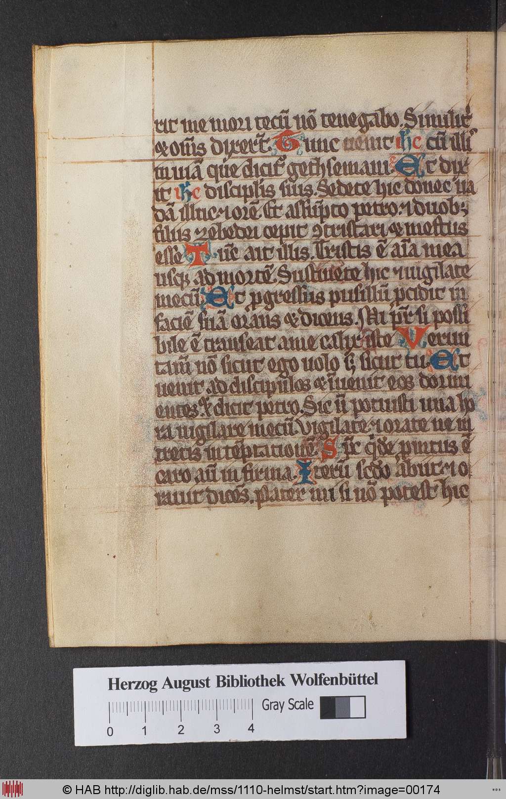 http://diglib.hab.de/mss/1110-helmst/00174.jpg