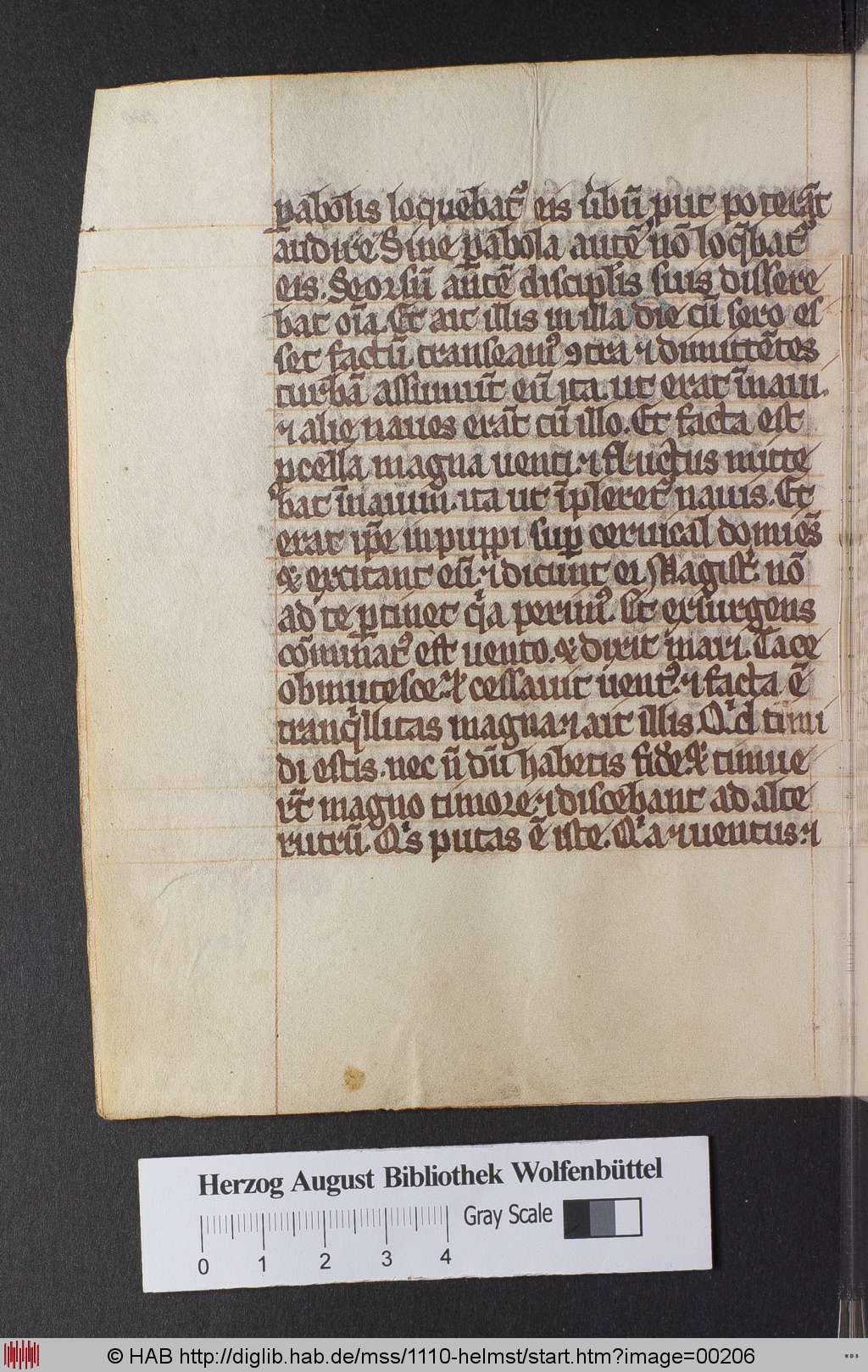 http://diglib.hab.de/mss/1110-helmst/00206.jpg