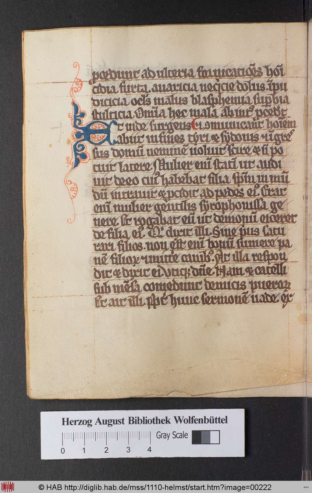 http://diglib.hab.de/mss/1110-helmst/00222.jpg