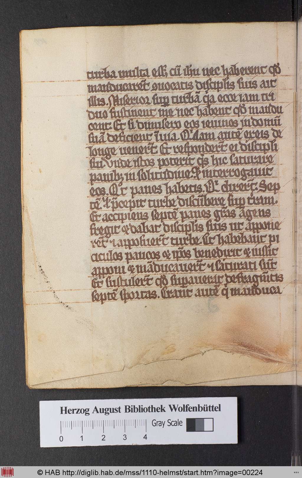 http://diglib.hab.de/mss/1110-helmst/00224.jpg