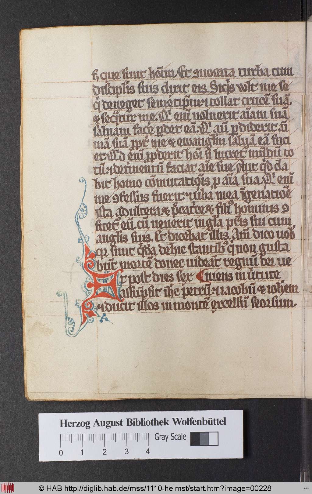 http://diglib.hab.de/mss/1110-helmst/00228.jpg