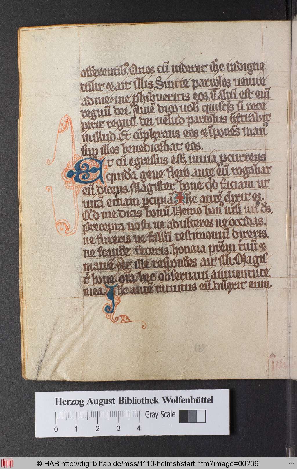 http://diglib.hab.de/mss/1110-helmst/00236.jpg