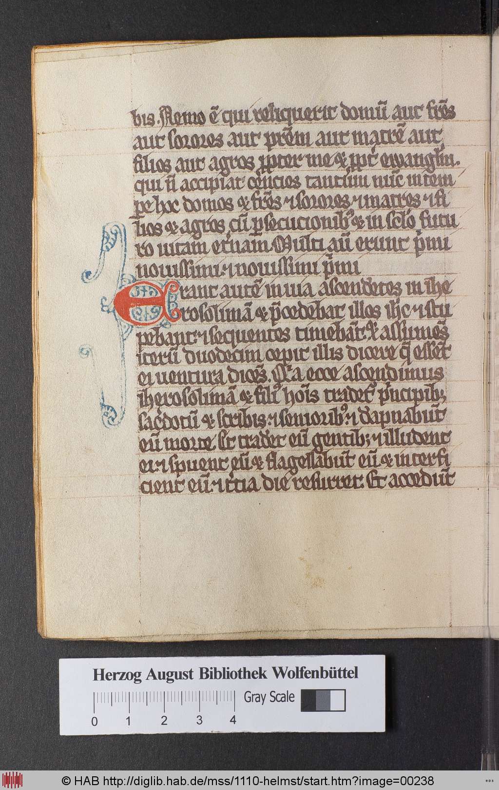http://diglib.hab.de/mss/1110-helmst/00238.jpg
