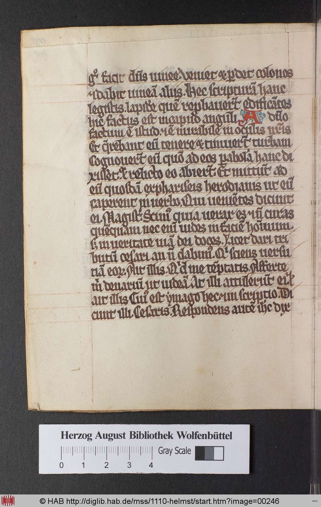 http://diglib.hab.de/mss/1110-helmst/00246.jpg