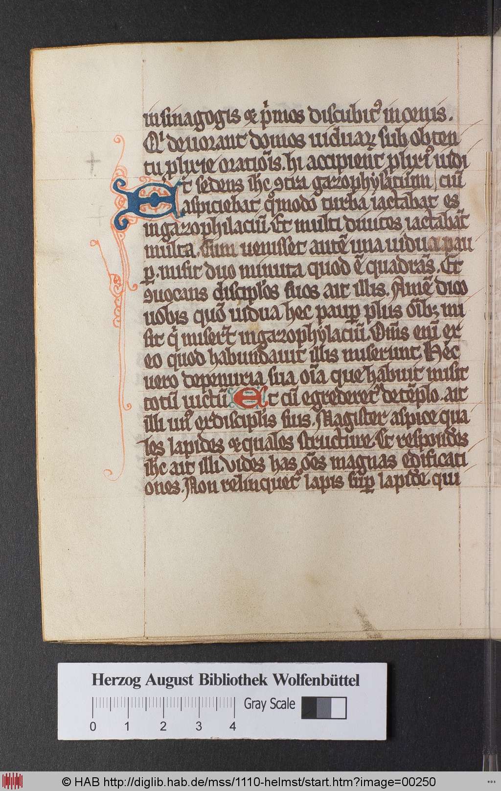 http://diglib.hab.de/mss/1110-helmst/00250.jpg
