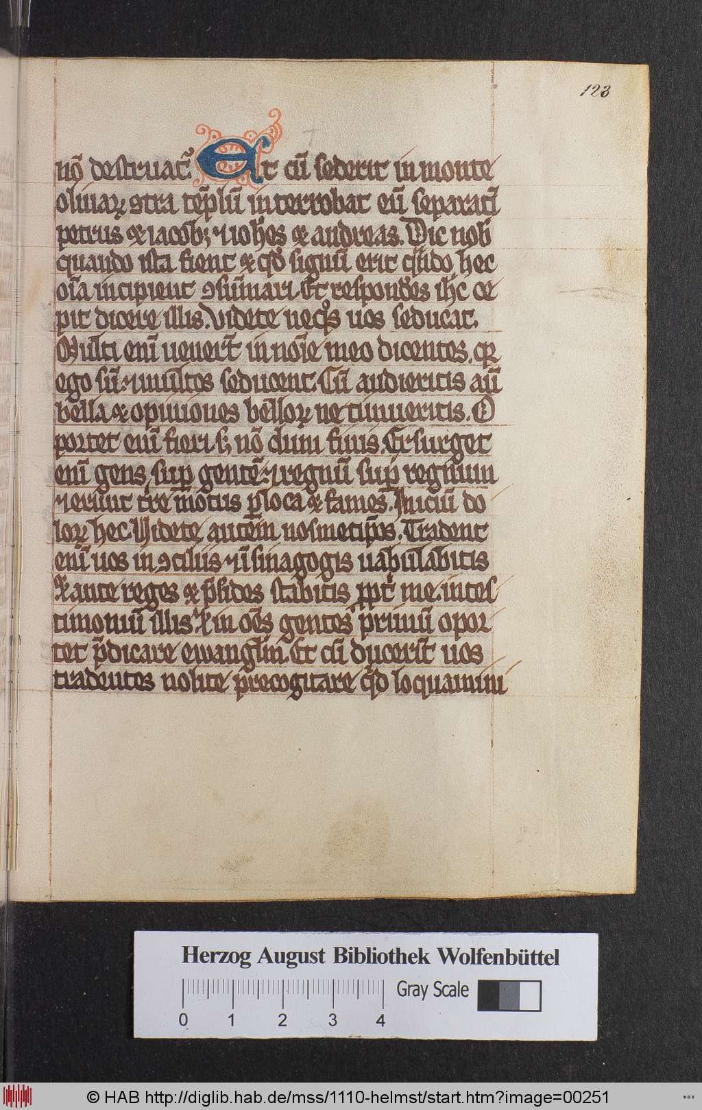 http://diglib.hab.de/mss/1110-helmst/00251.jpg