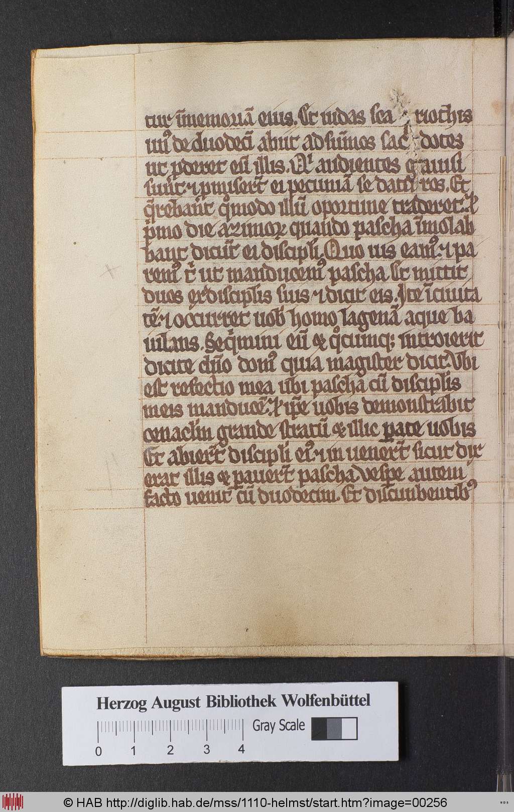 http://diglib.hab.de/mss/1110-helmst/00256.jpg