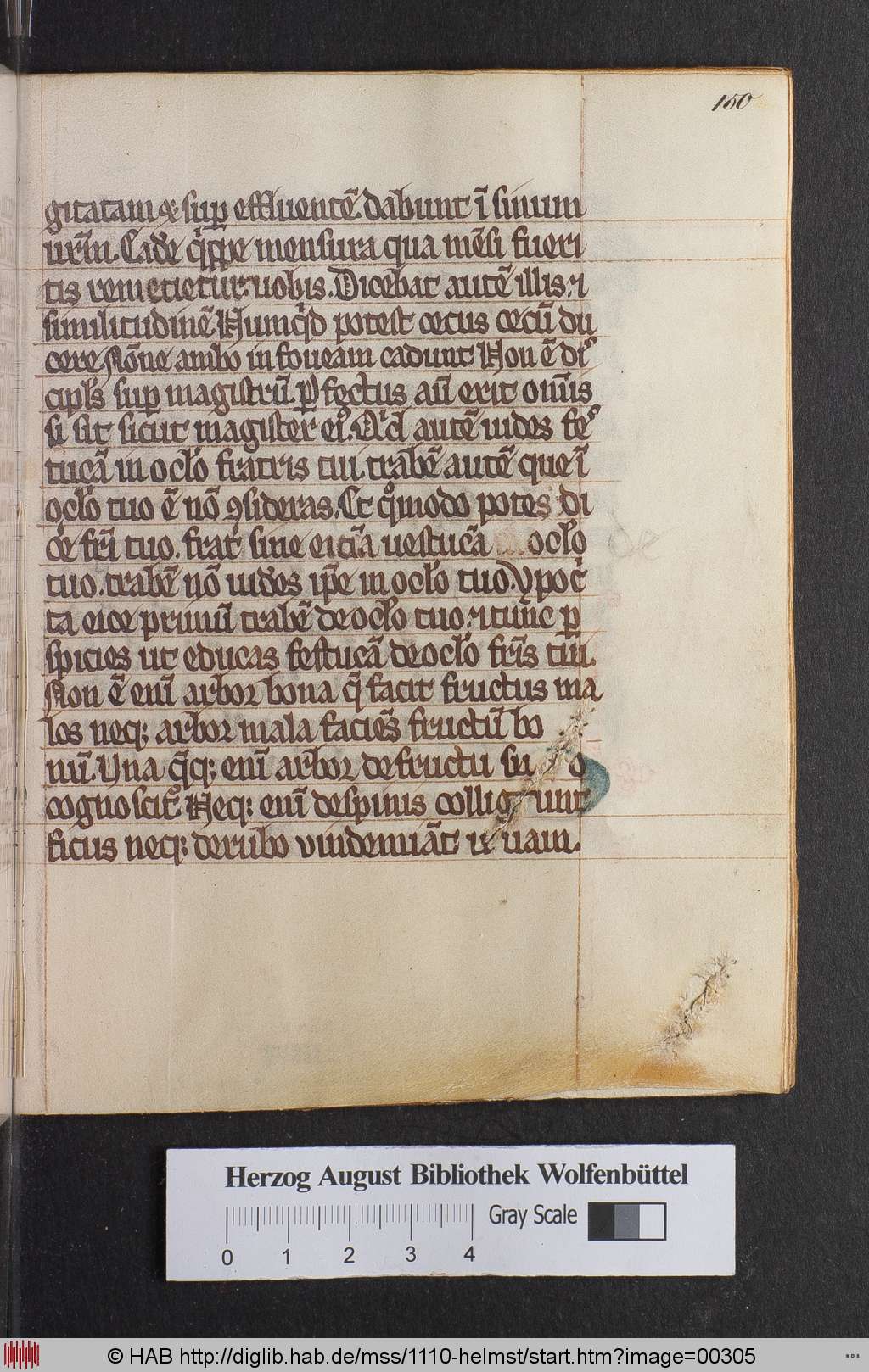 http://diglib.hab.de/mss/1110-helmst/00305.jpg