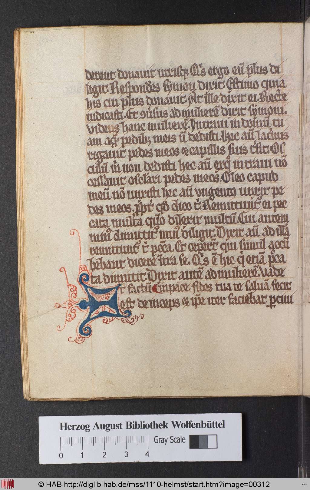 http://diglib.hab.de/mss/1110-helmst/00312.jpg