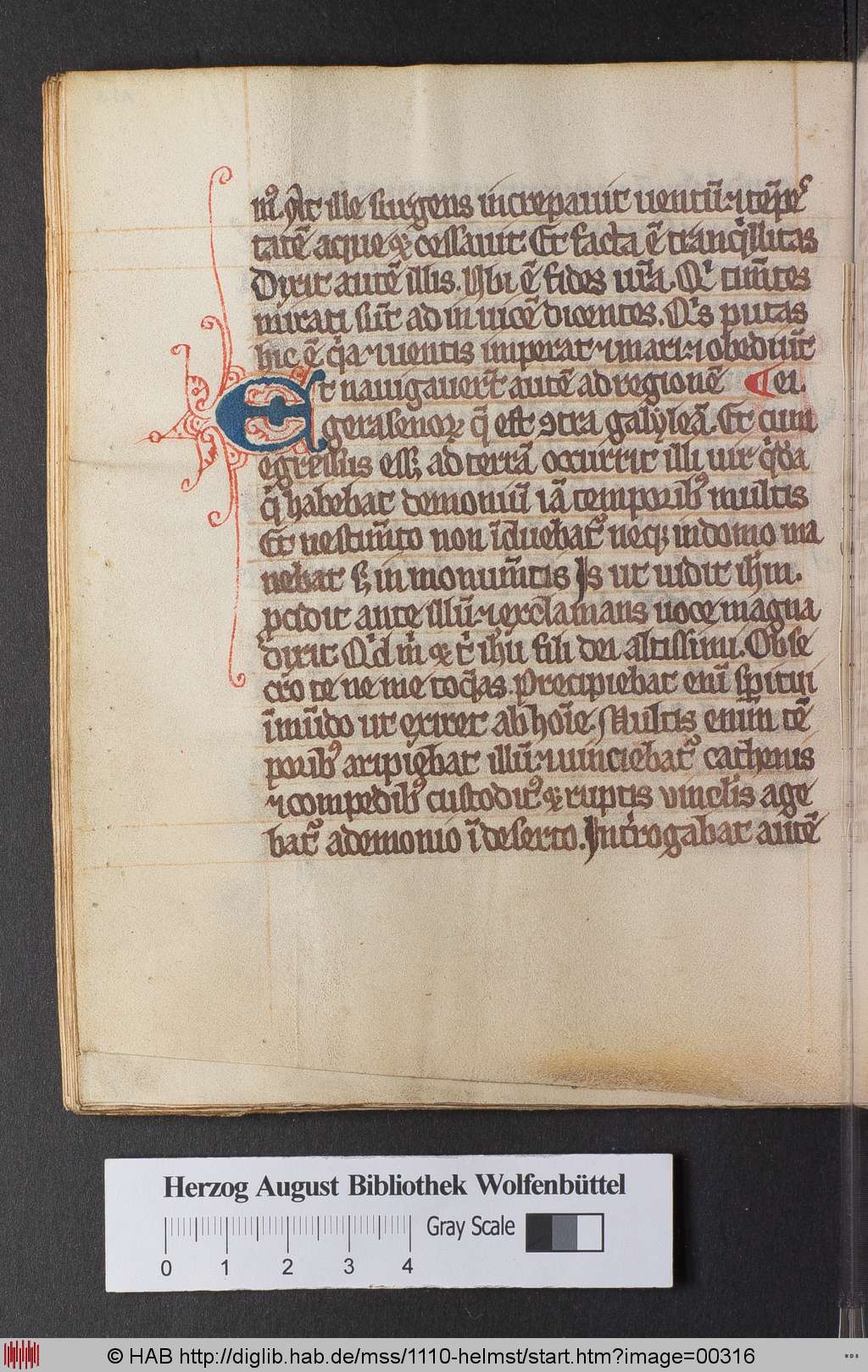http://diglib.hab.de/mss/1110-helmst/00316.jpg