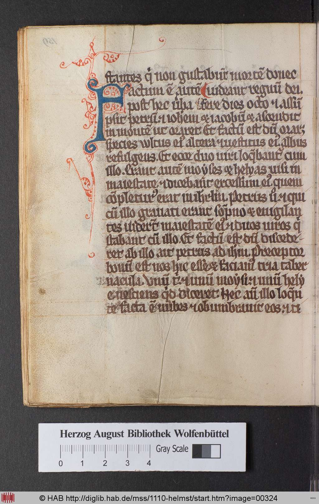 http://diglib.hab.de/mss/1110-helmst/00324.jpg