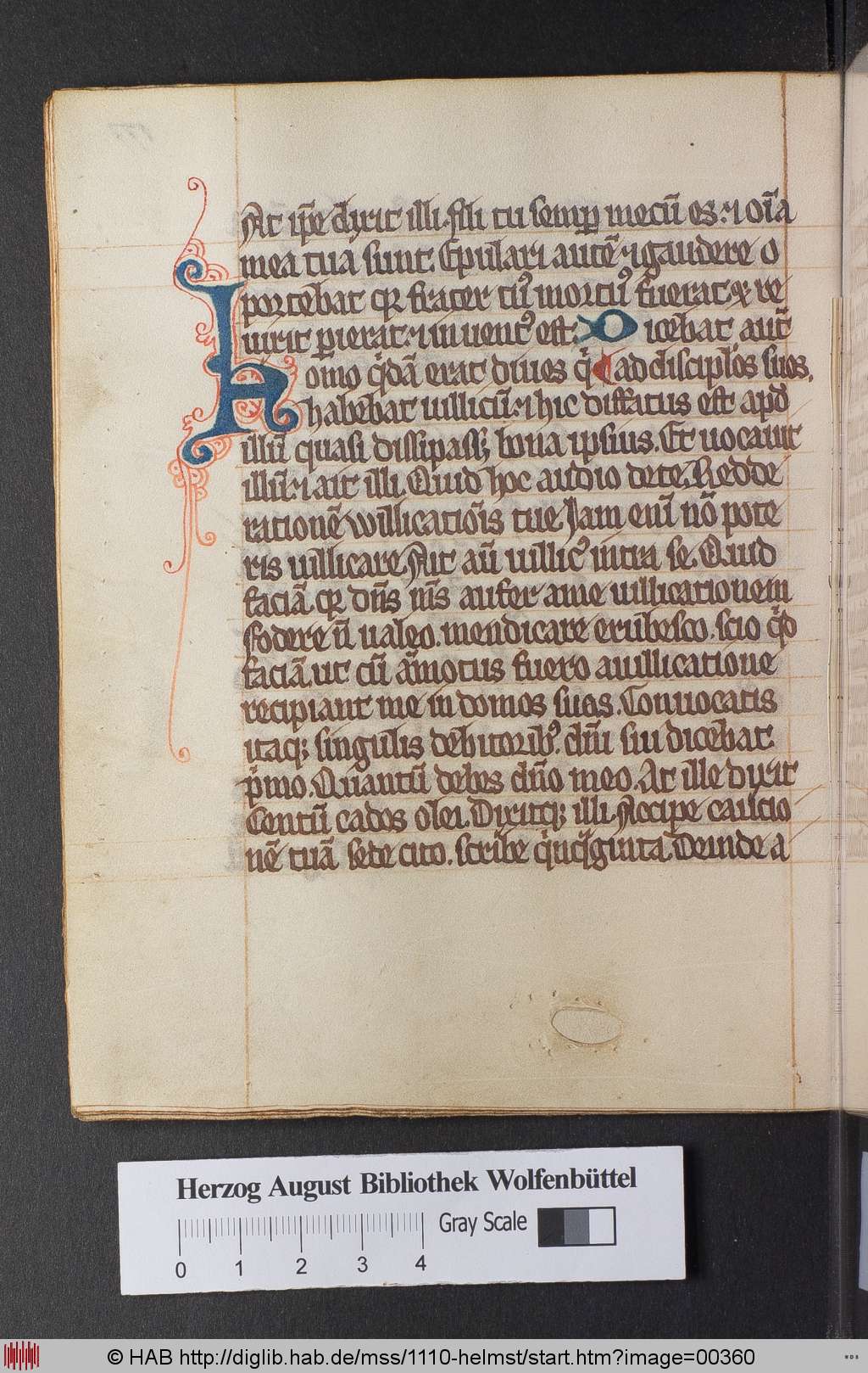 http://diglib.hab.de/mss/1110-helmst/00360.jpg