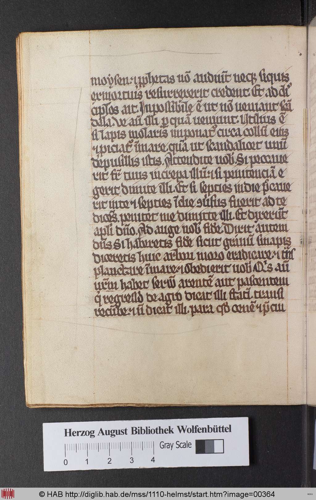 http://diglib.hab.de/mss/1110-helmst/00364.jpg