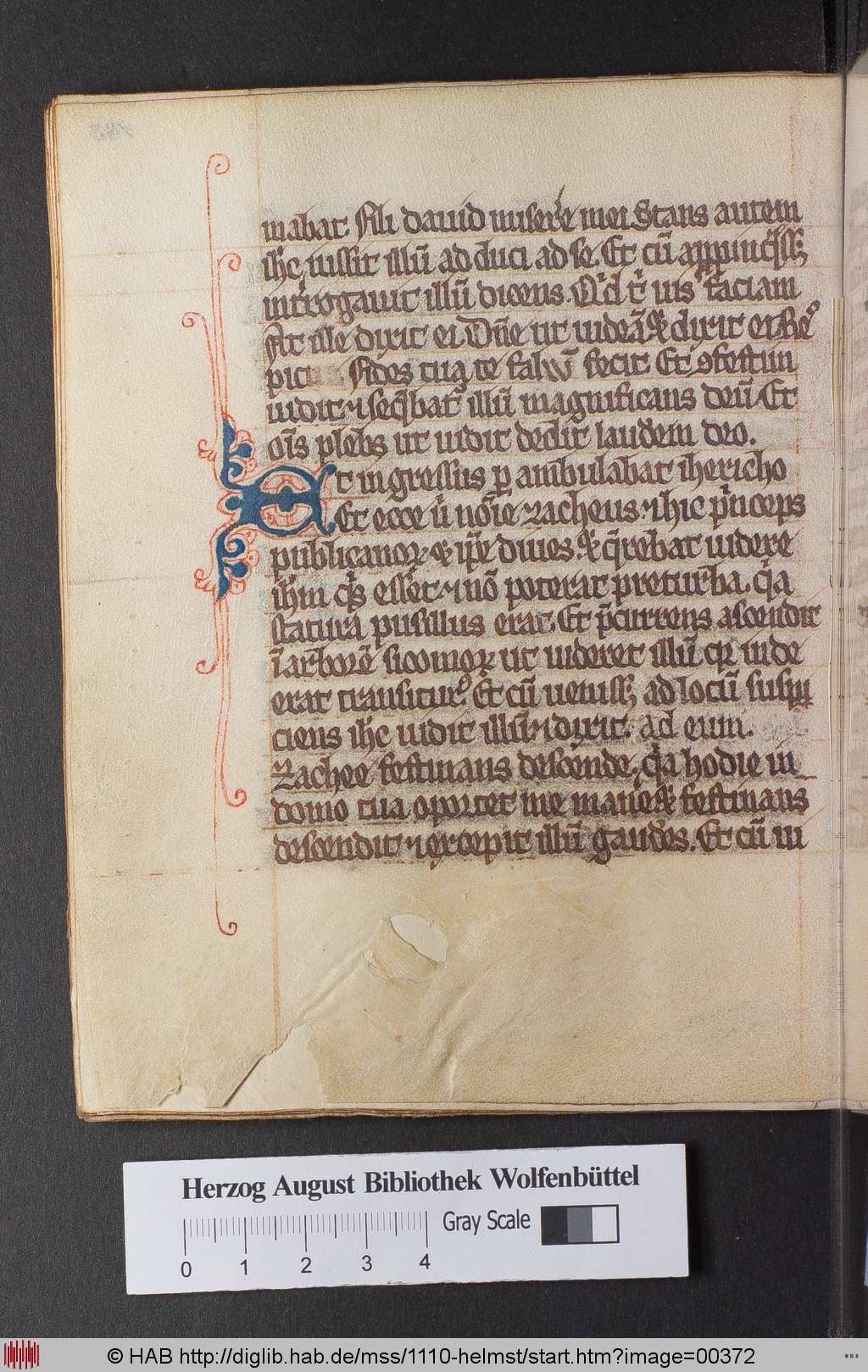 http://diglib.hab.de/mss/1110-helmst/00372.jpg