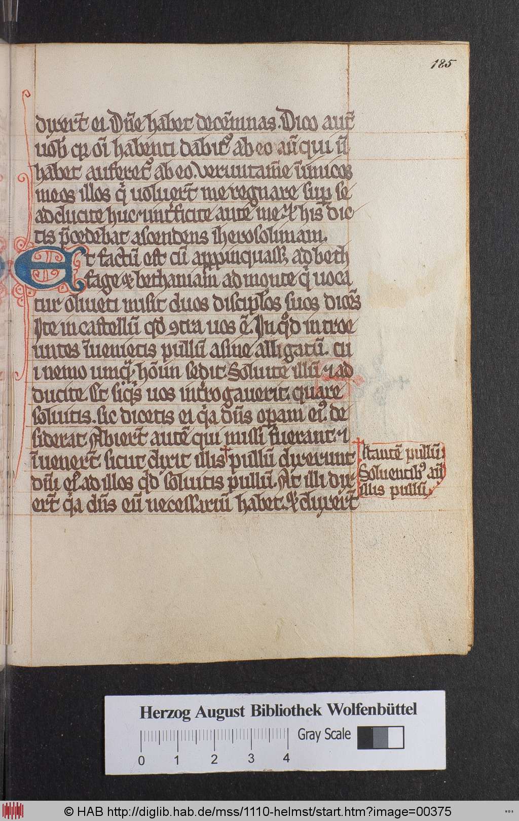 http://diglib.hab.de/mss/1110-helmst/00375.jpg