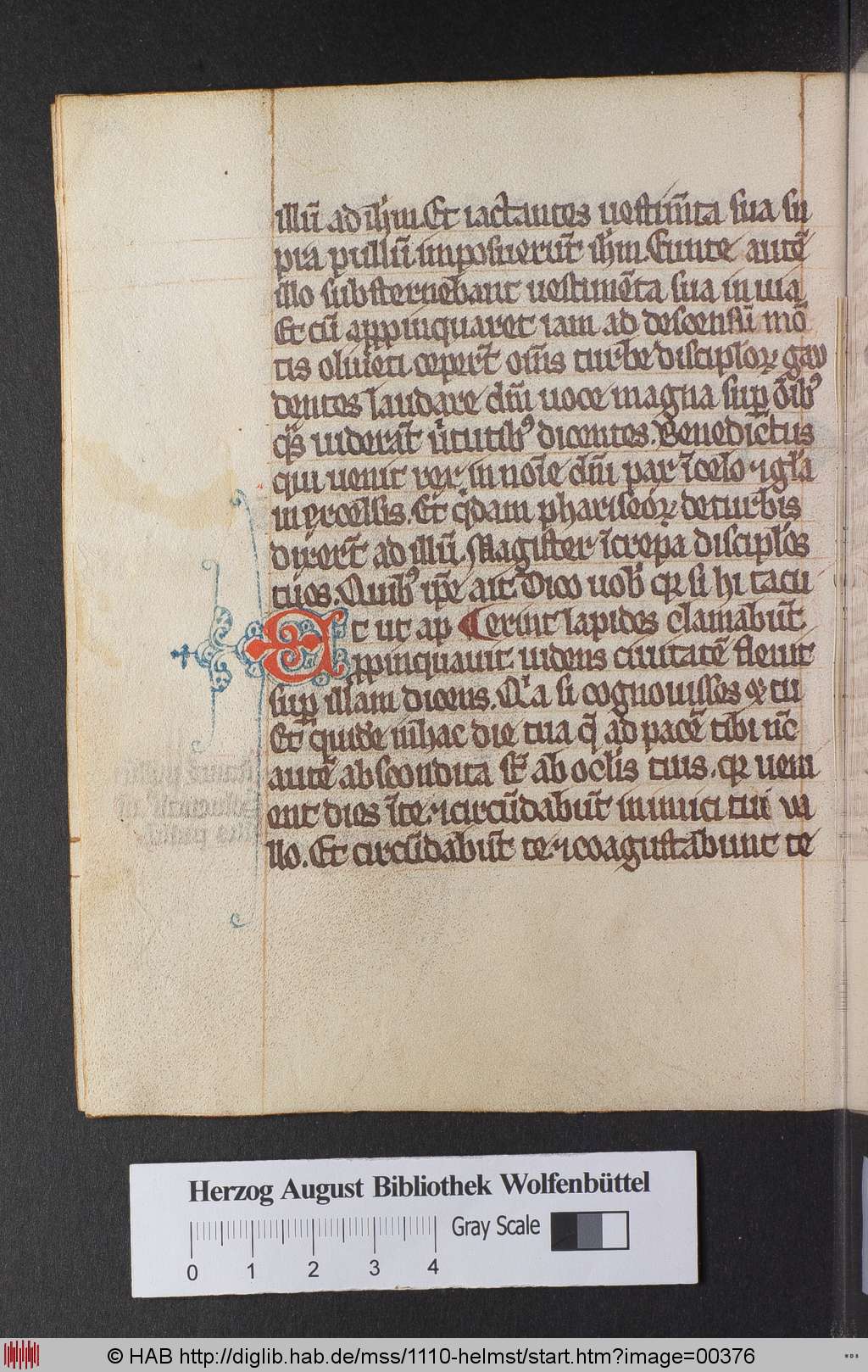 http://diglib.hab.de/mss/1110-helmst/00376.jpg
