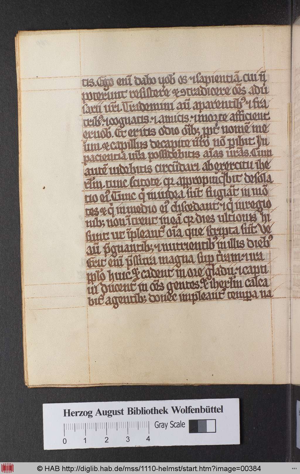 http://diglib.hab.de/mss/1110-helmst/00384.jpg