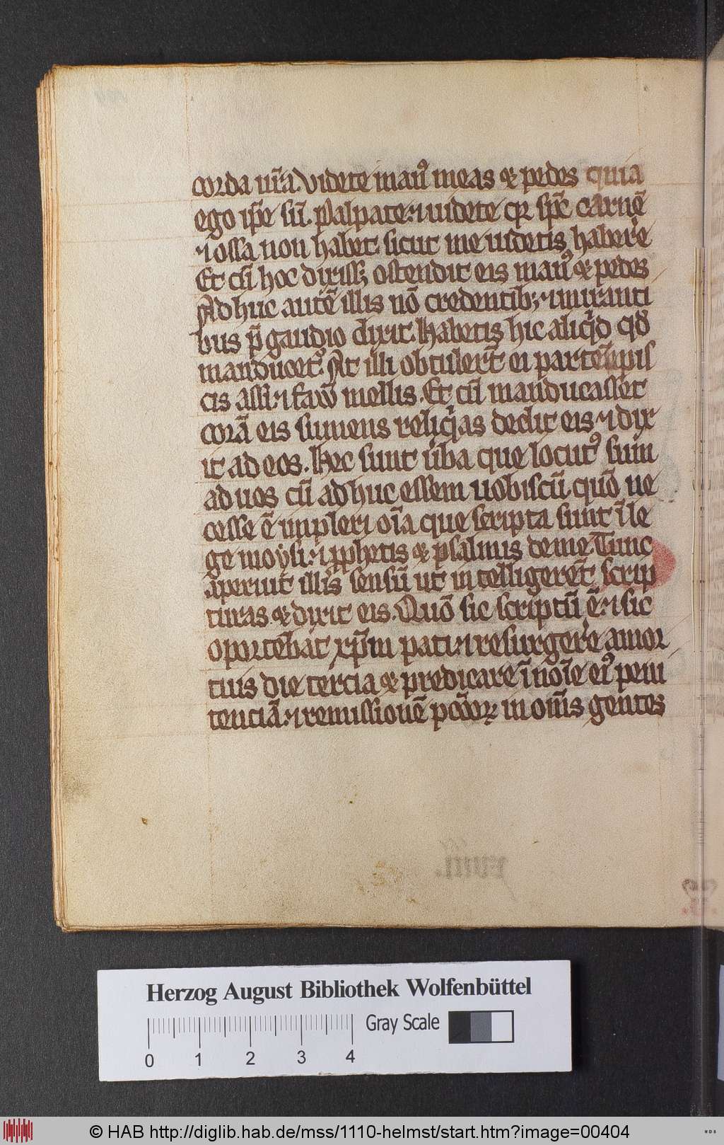 http://diglib.hab.de/mss/1110-helmst/00404.jpg