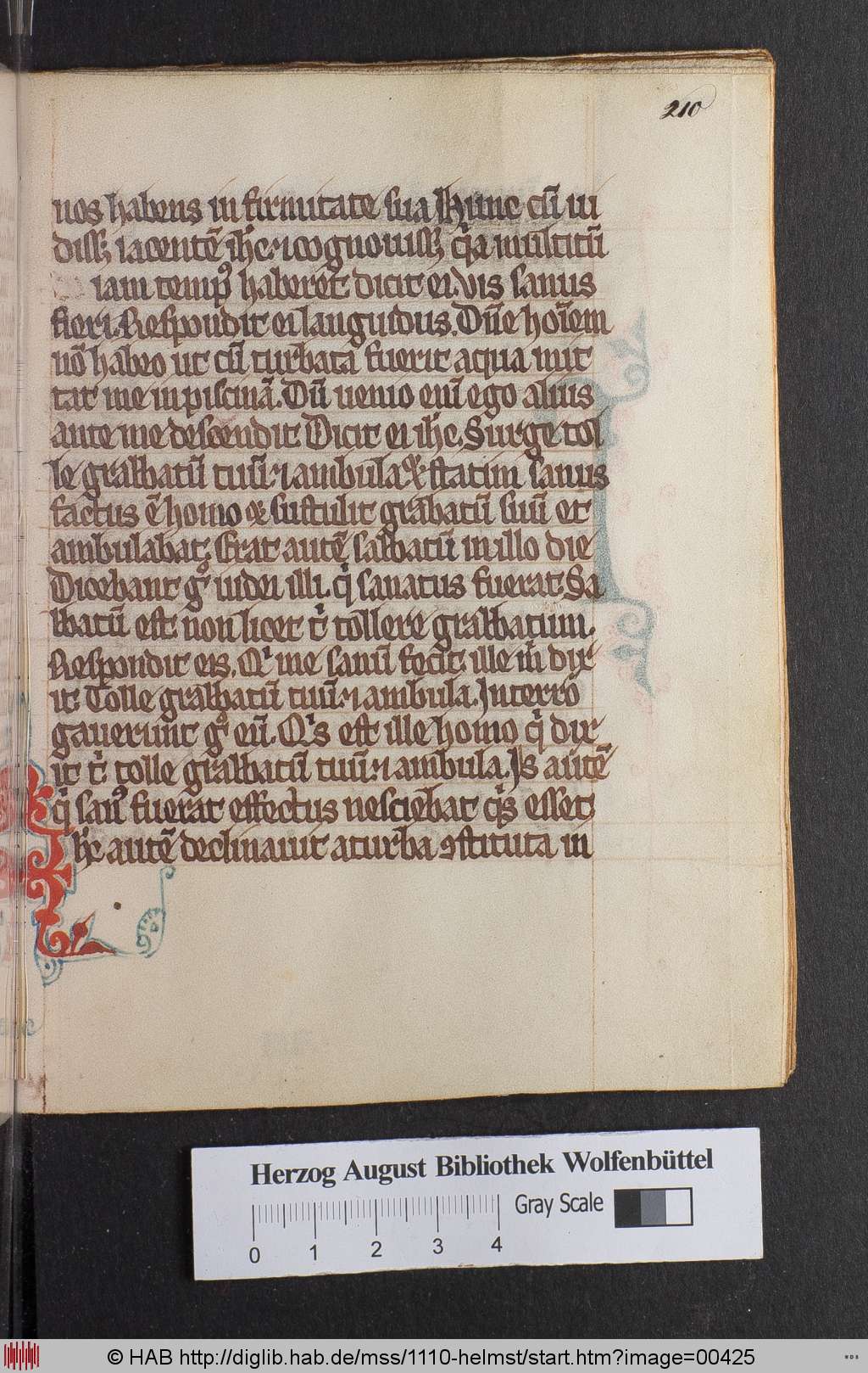 http://diglib.hab.de/mss/1110-helmst/00425.jpg