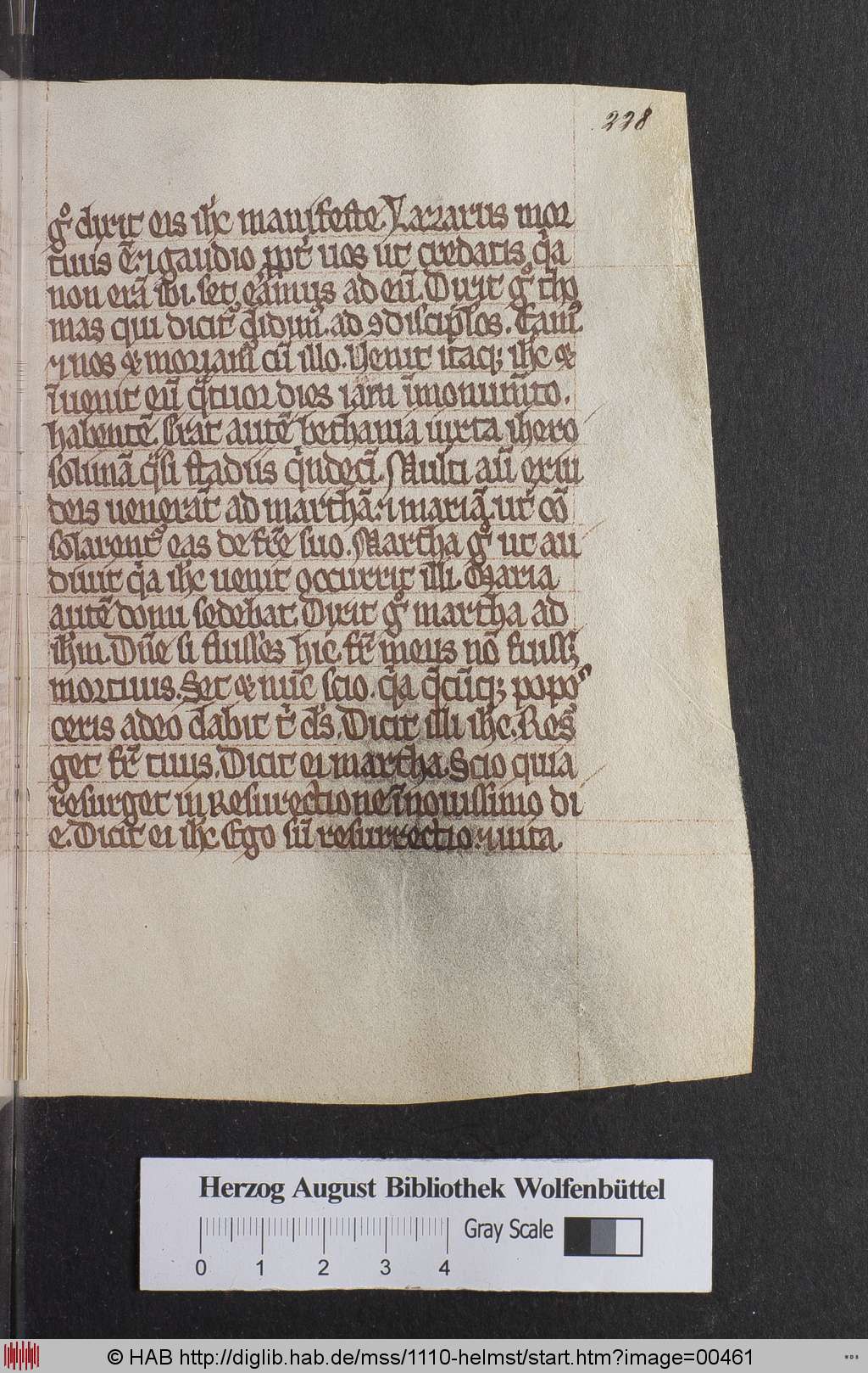 http://diglib.hab.de/mss/1110-helmst/00461.jpg