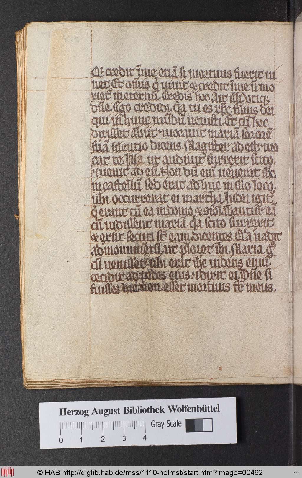 http://diglib.hab.de/mss/1110-helmst/00462.jpg