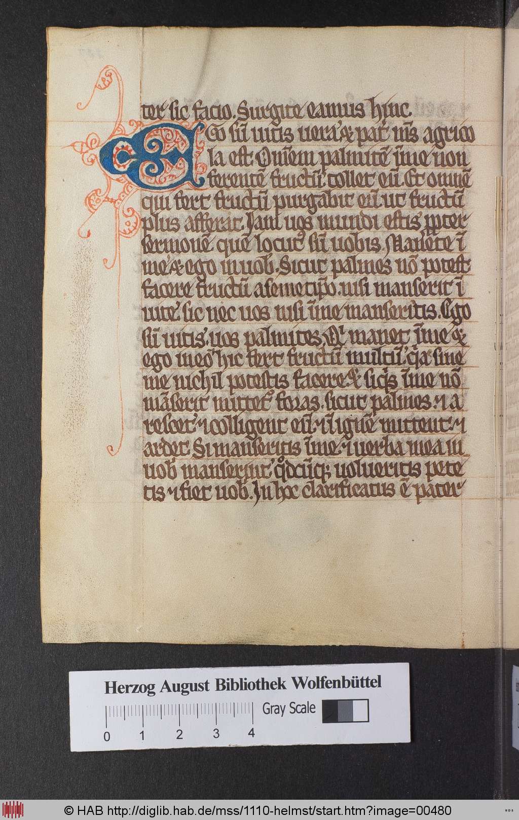 http://diglib.hab.de/mss/1110-helmst/00480.jpg
