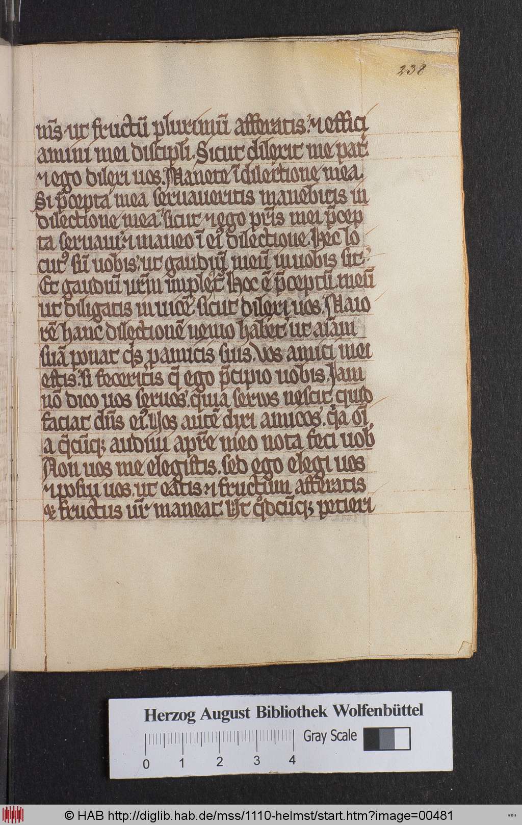 http://diglib.hab.de/mss/1110-helmst/00481.jpg