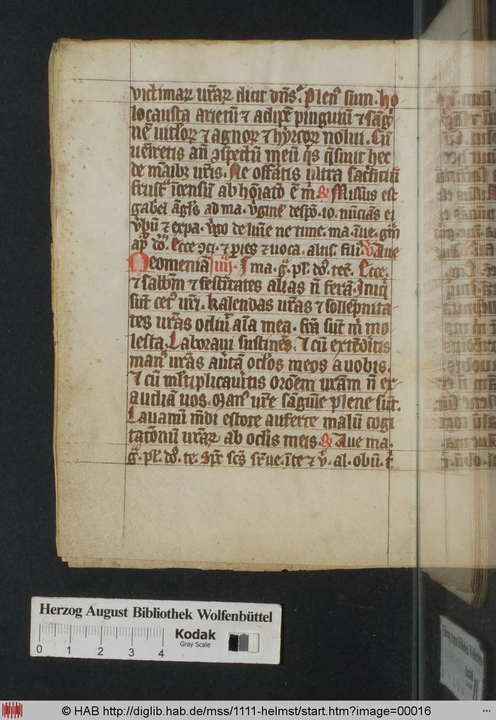 http://diglib.hab.de/mss/1111-helmst/00016.jpg