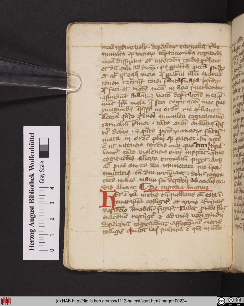 http://diglib.hab.de/mss/1112-helmst/00224.jpg