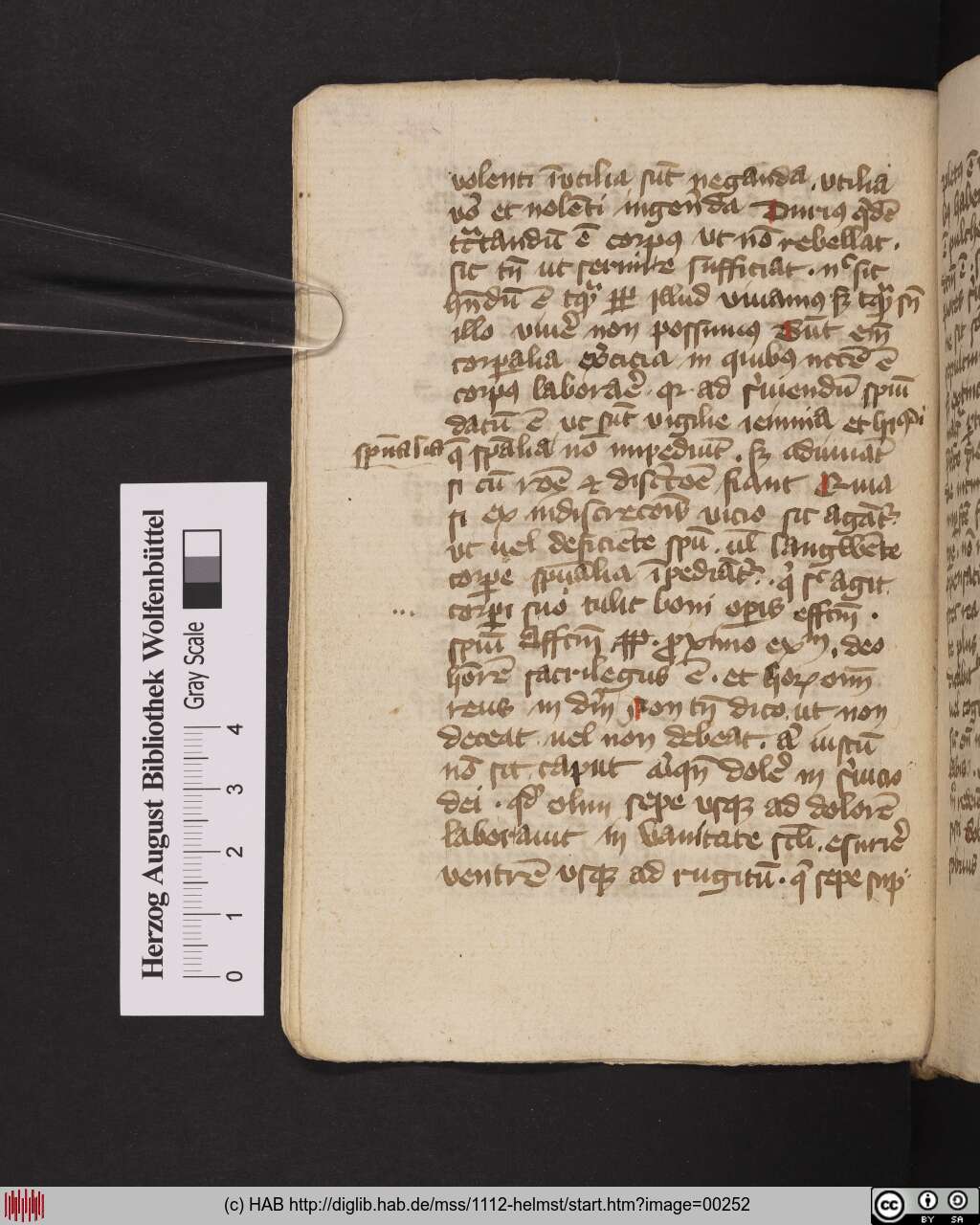 http://diglib.hab.de/mss/1112-helmst/00252.jpg