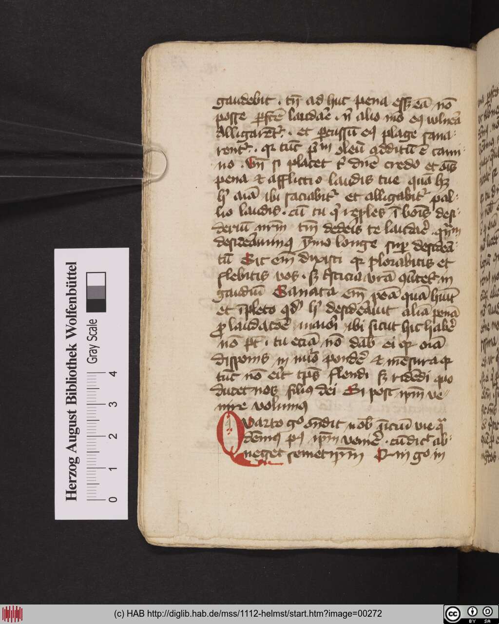 http://diglib.hab.de/mss/1112-helmst/00272.jpg