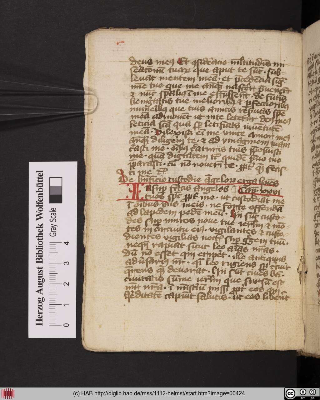 http://diglib.hab.de/mss/1112-helmst/00424.jpg