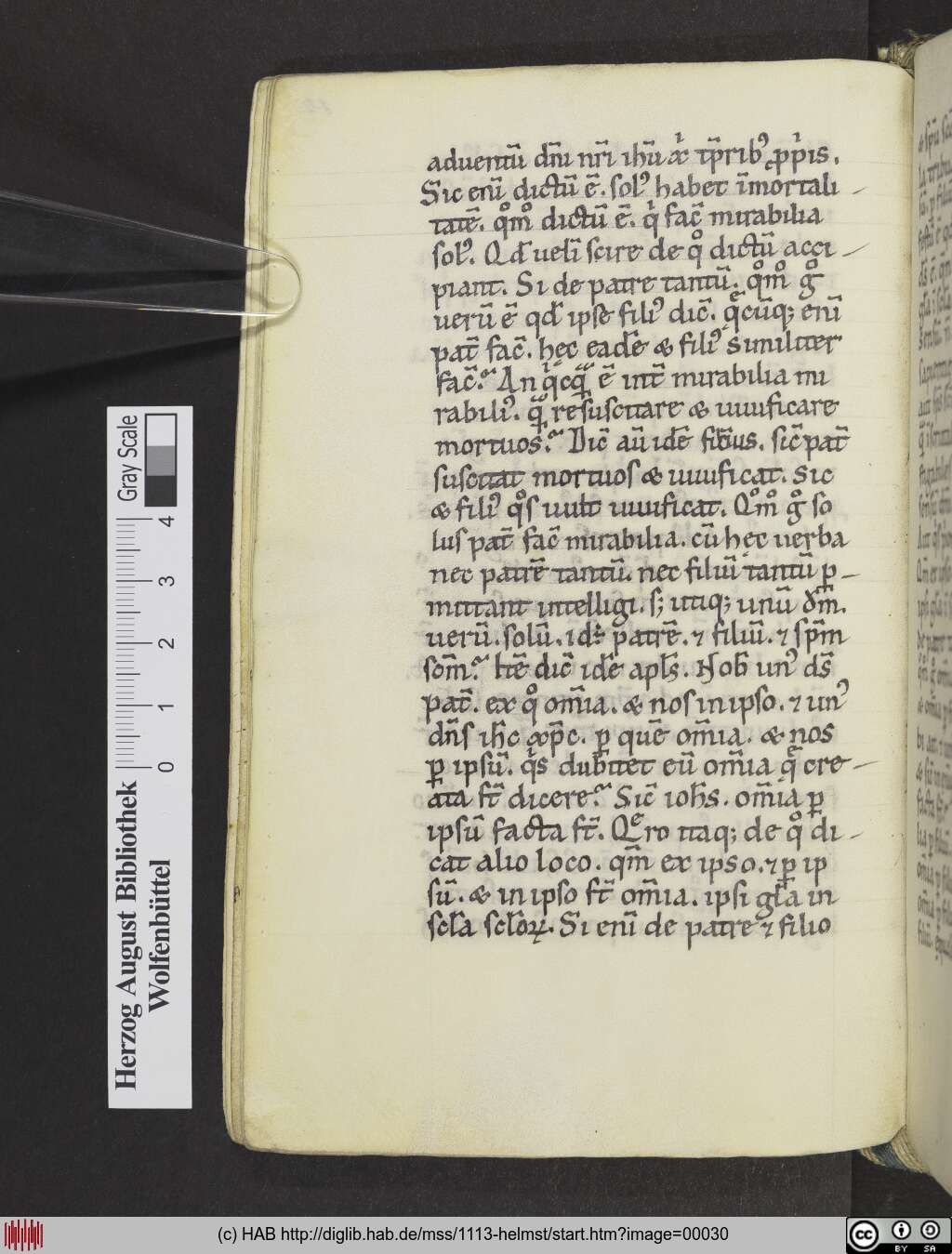 http://diglib.hab.de/mss/1113-helmst/00030.jpg