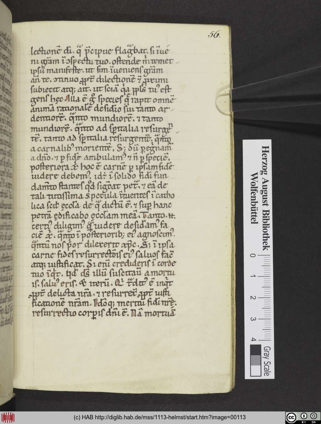 http://diglib.hab.de/mss/1113-helmst/00113.jpg