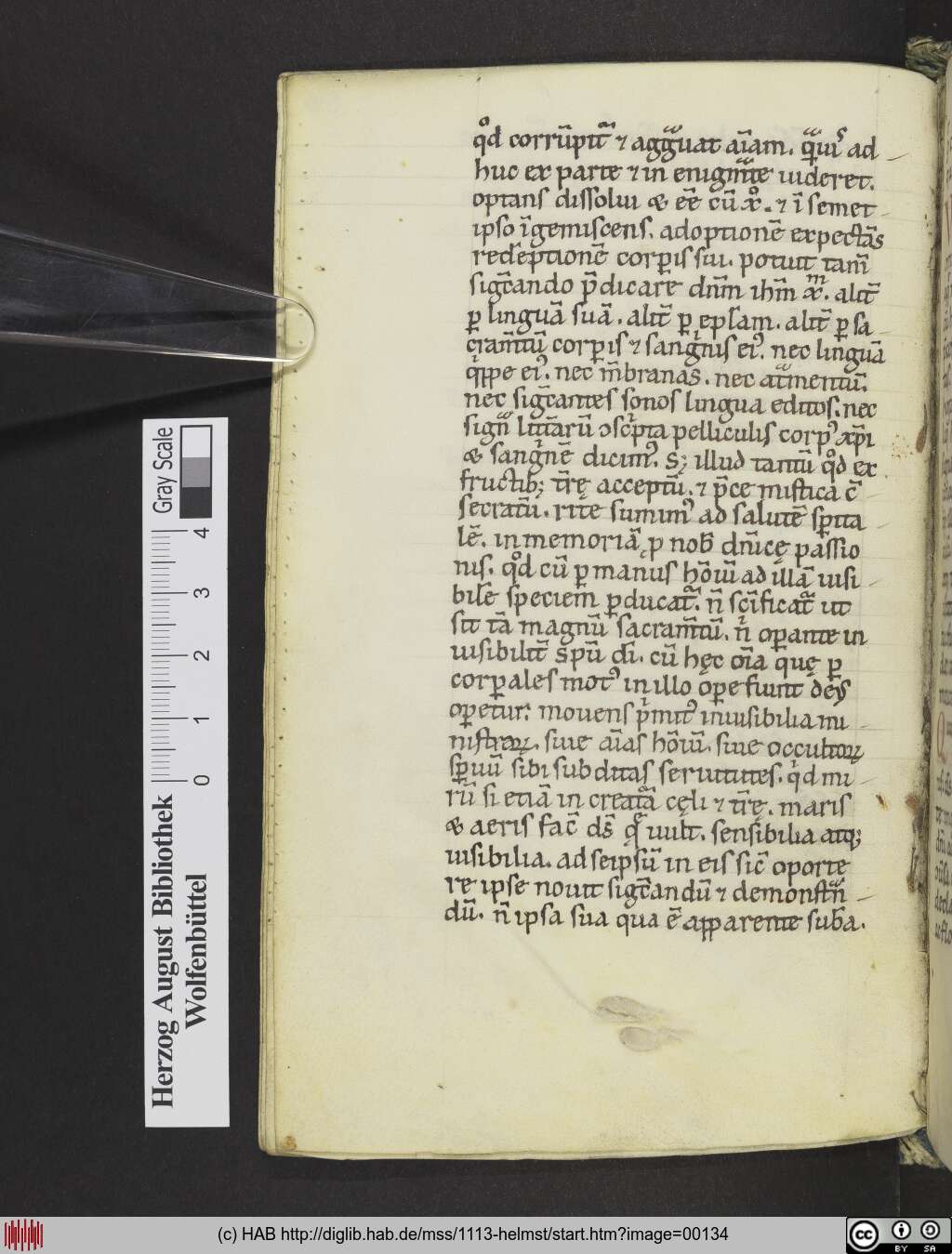 http://diglib.hab.de/mss/1113-helmst/00134.jpg