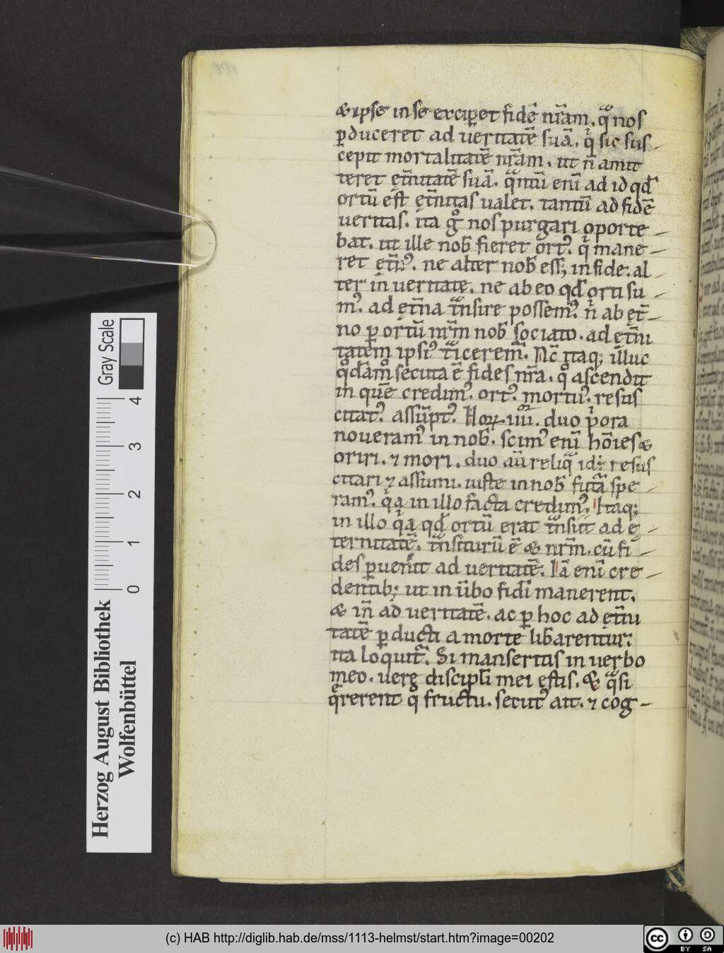 http://diglib.hab.de/mss/1113-helmst/00202.jpg