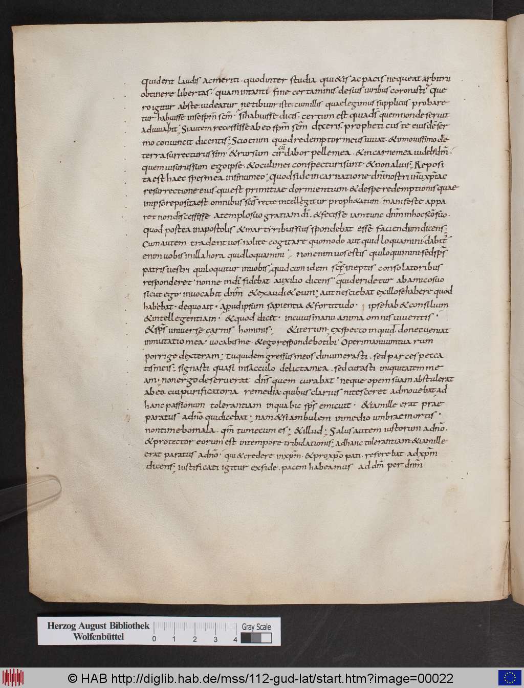 http://diglib.hab.de/mss/112-gud-lat/00022.jpg