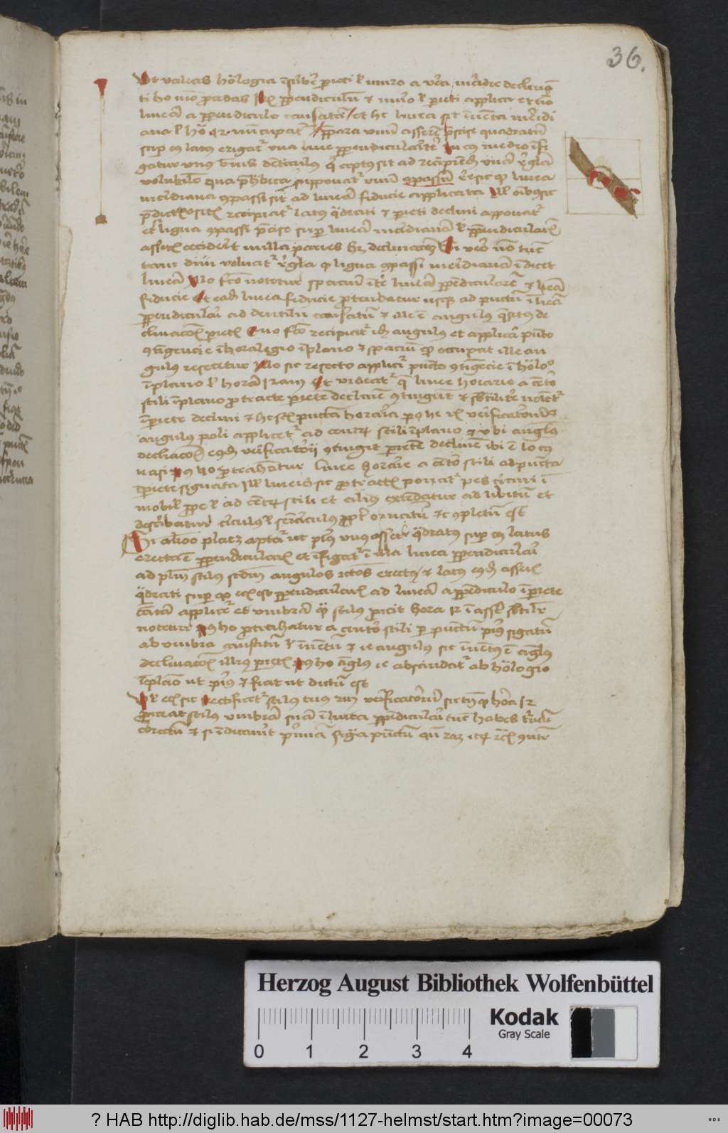 http://diglib.hab.de/mss/1127-helmst/00073.jpg