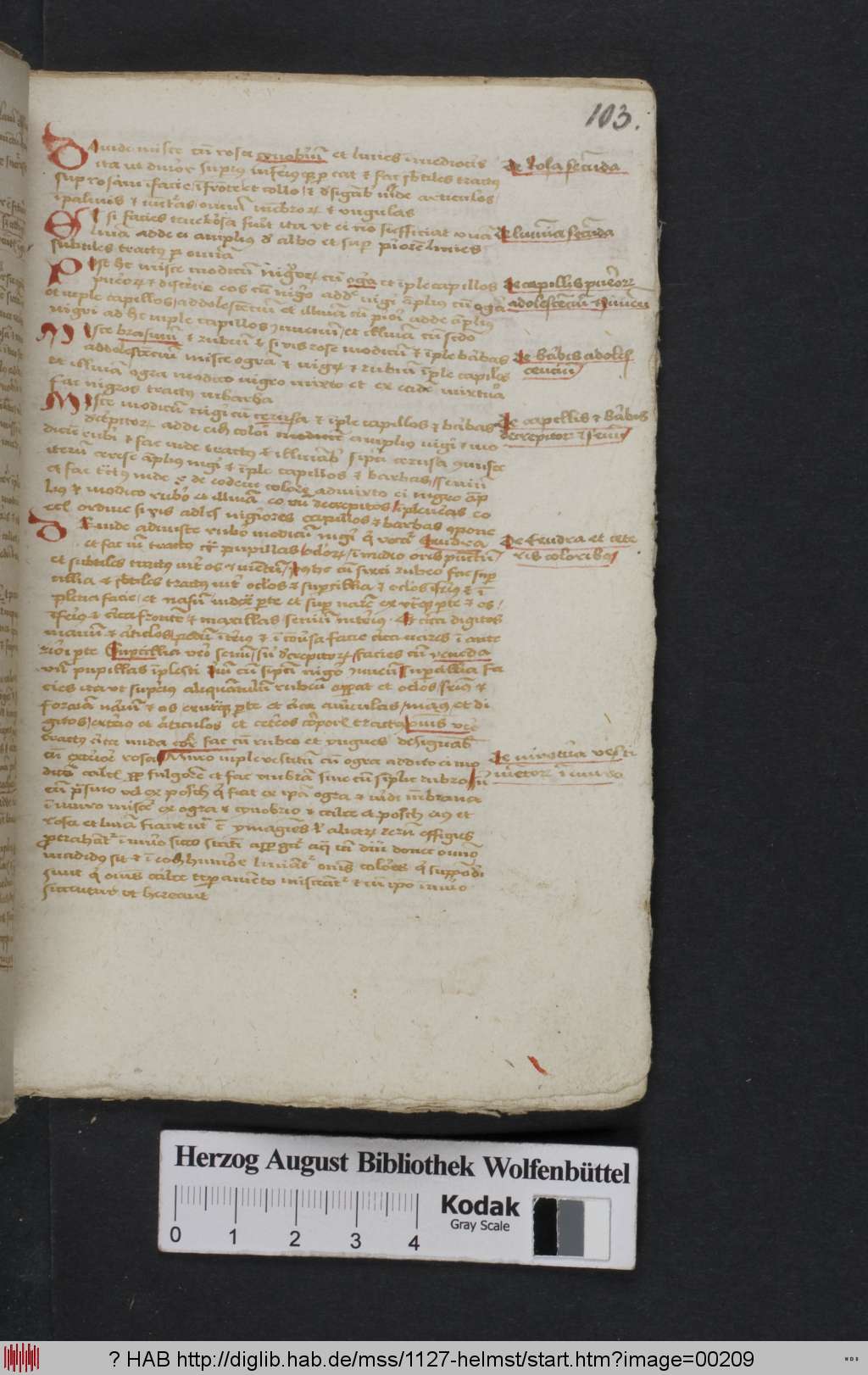 http://diglib.hab.de/mss/1127-helmst/00209.jpg