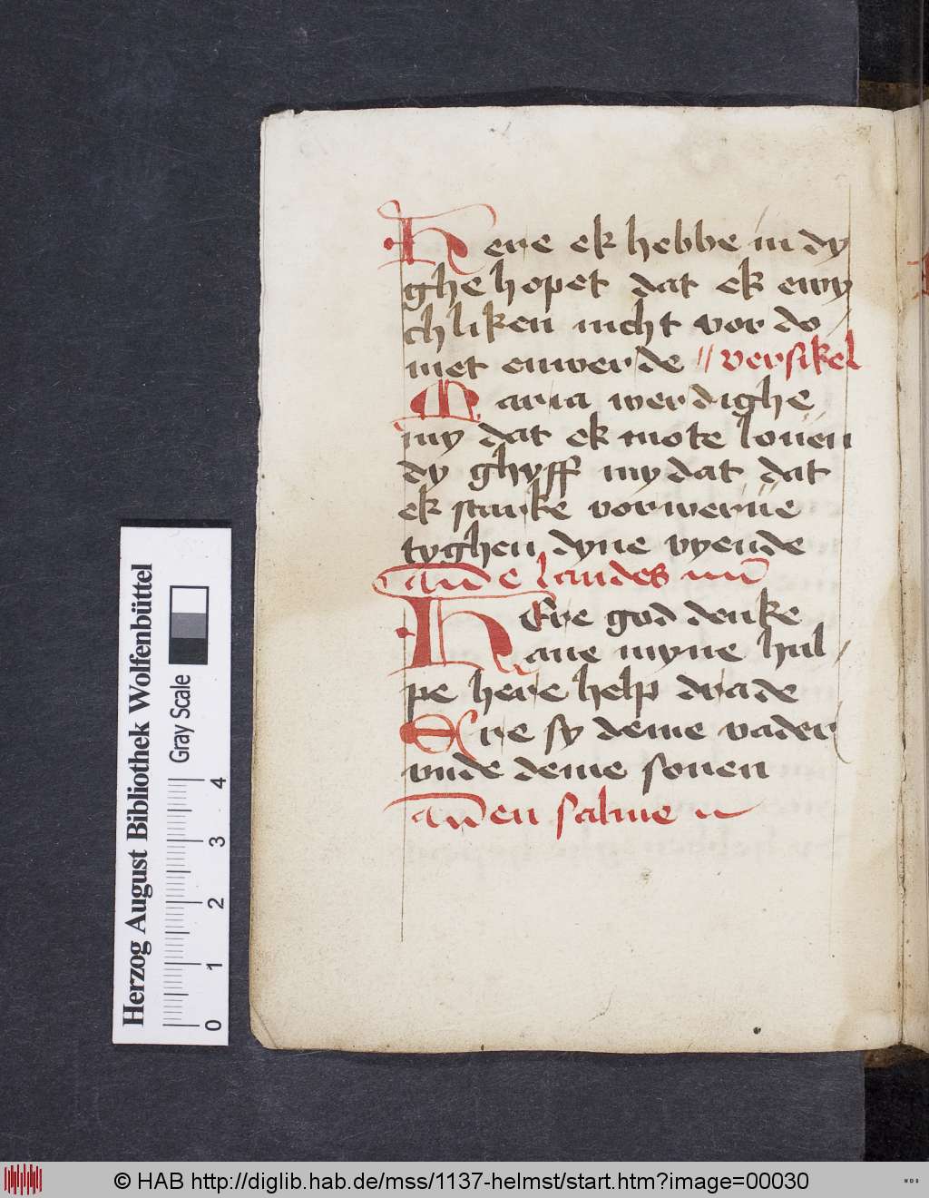 http://diglib.hab.de/mss/1137-helmst/00030.jpg
