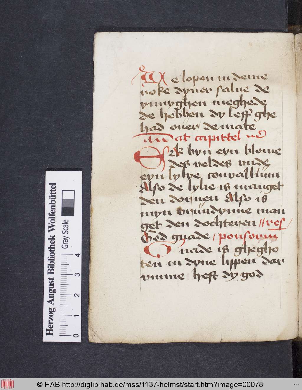http://diglib.hab.de/mss/1137-helmst/00078.jpg