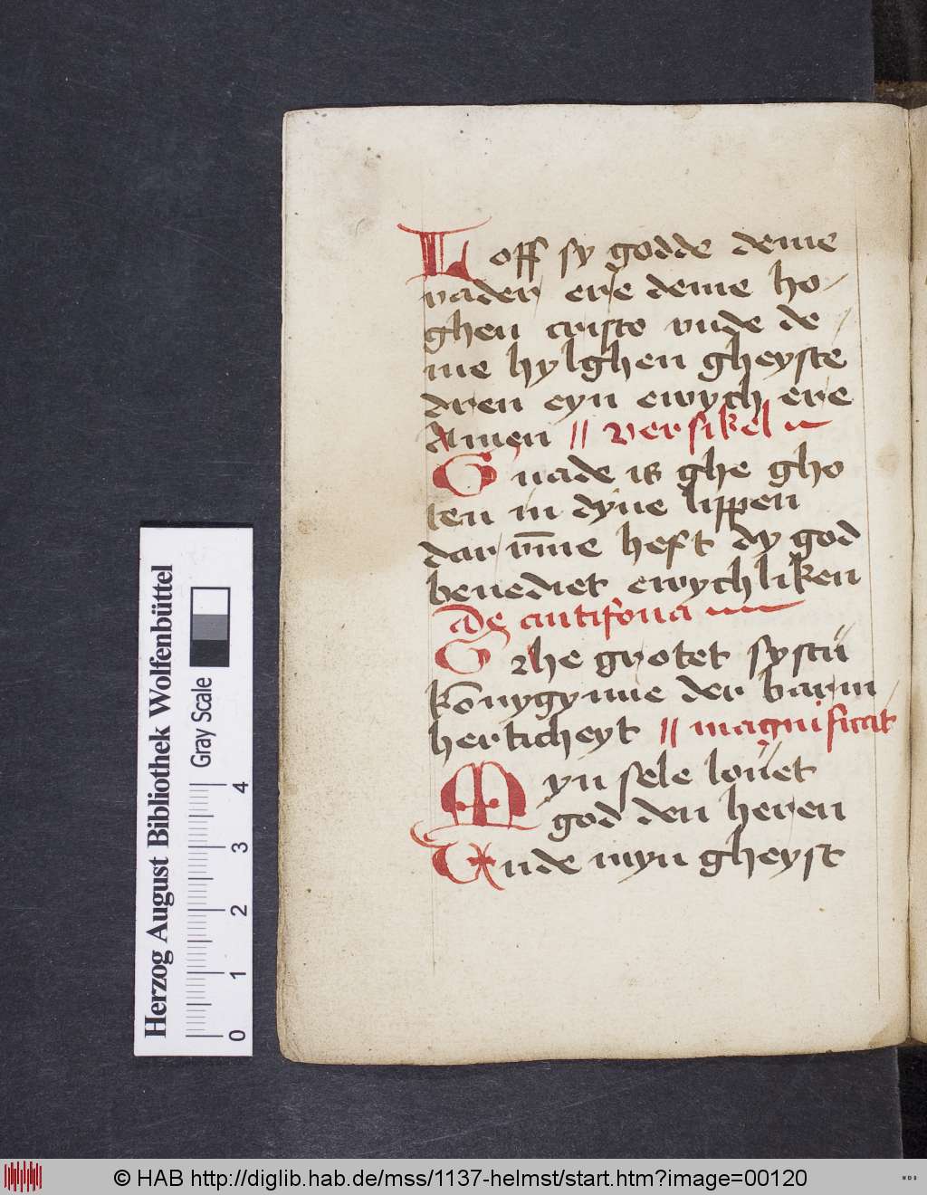 http://diglib.hab.de/mss/1137-helmst/00120.jpg